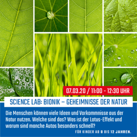 Bionik – Geheimnisse der Natur