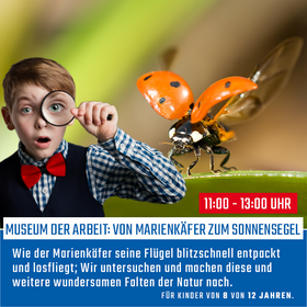 Von Marienkäfer zum Sonnensegel