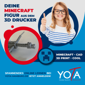 Deine Minecraft-Figur aus dem 3D-Drucker